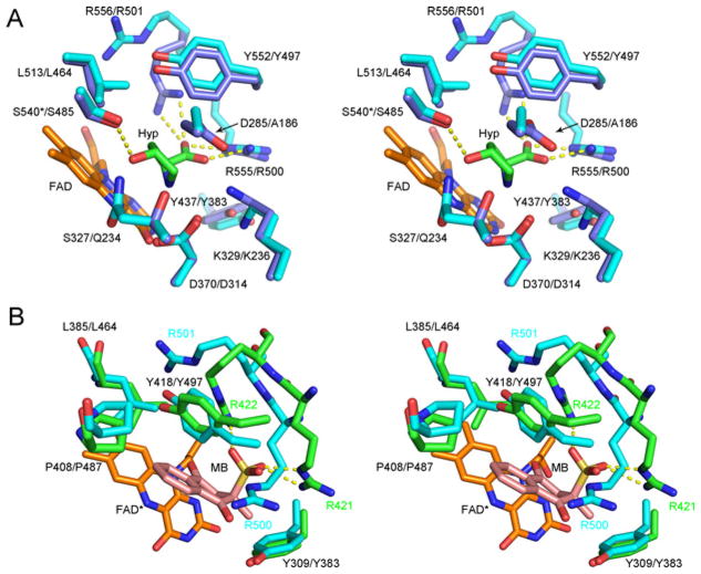 Figure 7