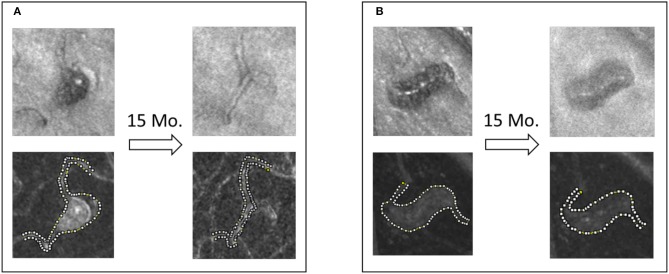 Figure 13