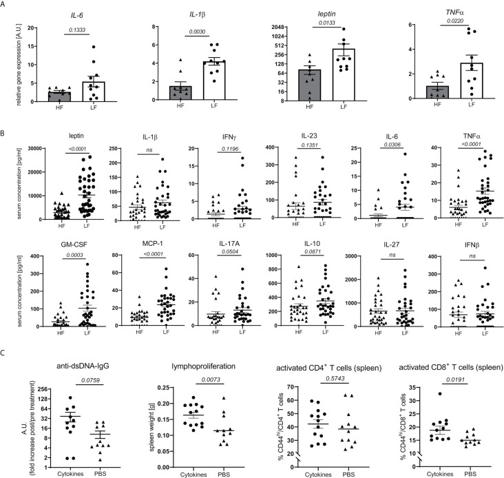 Figure 4