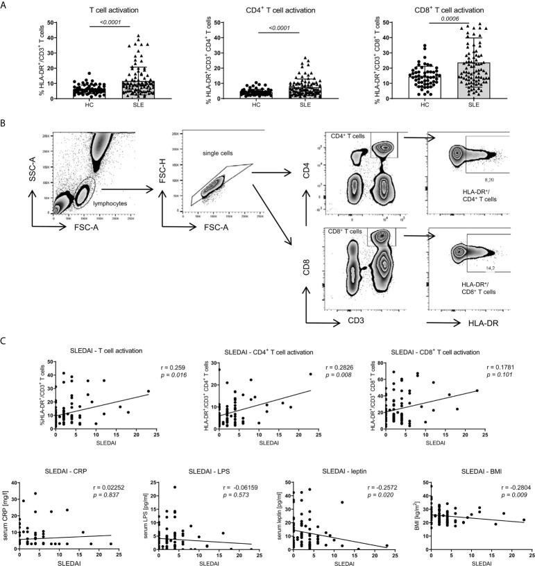 Figure 5