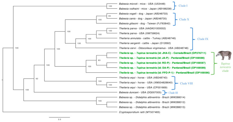 Figure 4