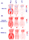 Fig. 10