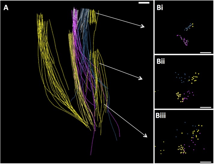 FIGURE 6: