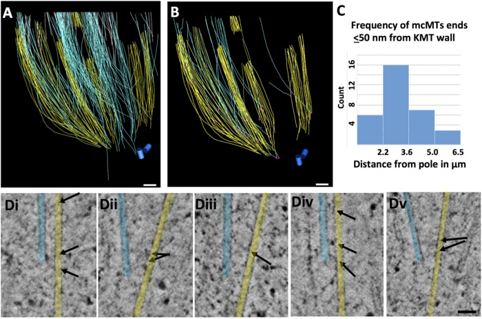 FIGURE 5: