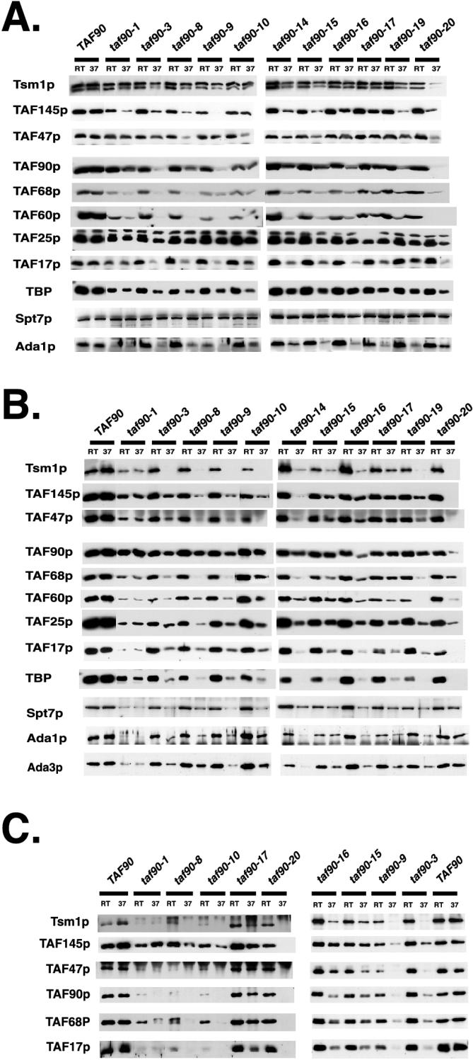 FIG. 8