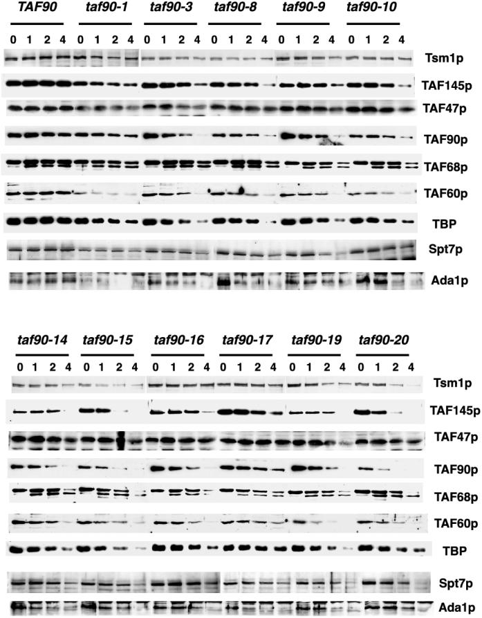 FIG. 7