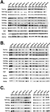 FIG. 8