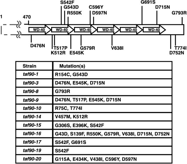 FIG. 1