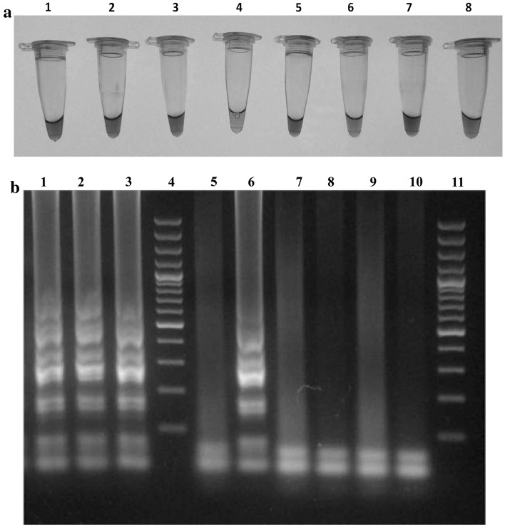 Fig. 3