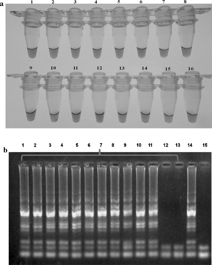 Fig. 2