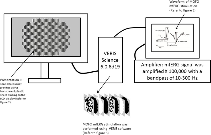 Fig 1