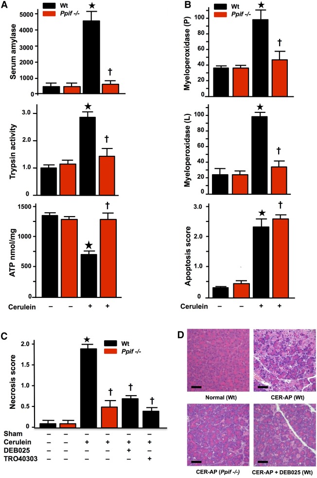 Figure 6