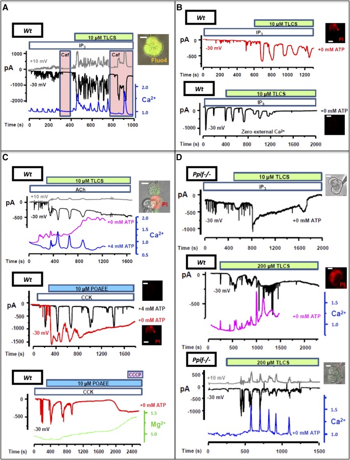 Figure 3