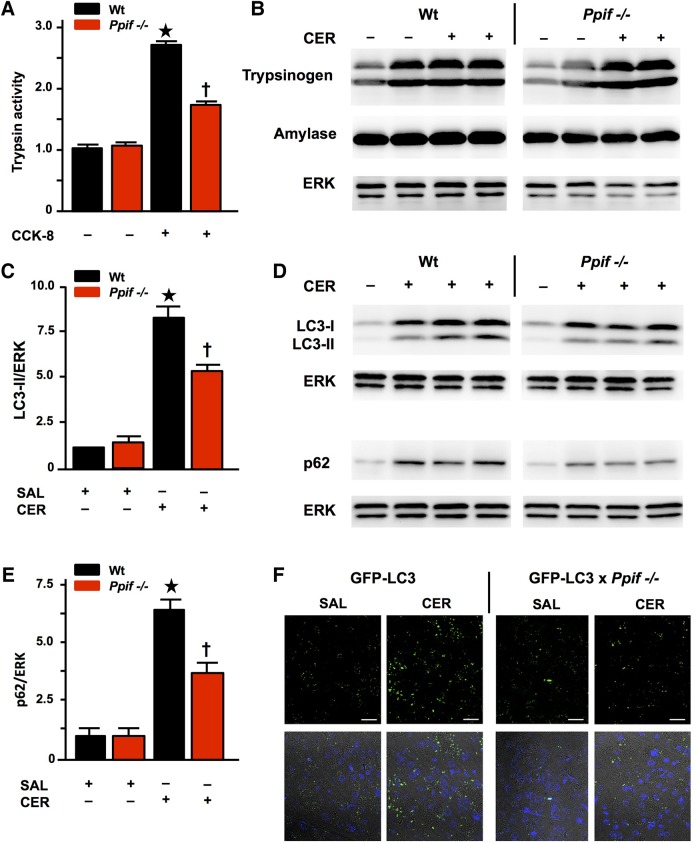 Figure 5