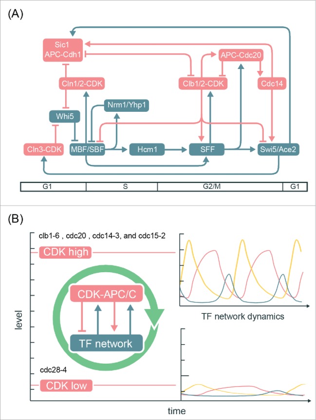 Figure 7.