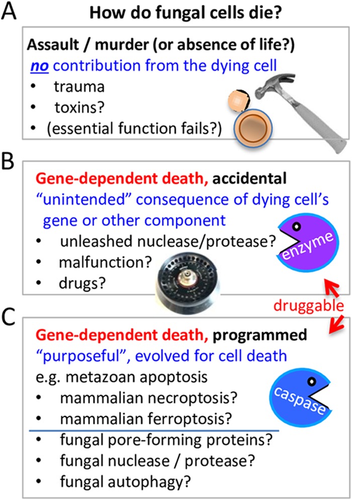 FIG 1 