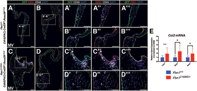 FIGURE 6: