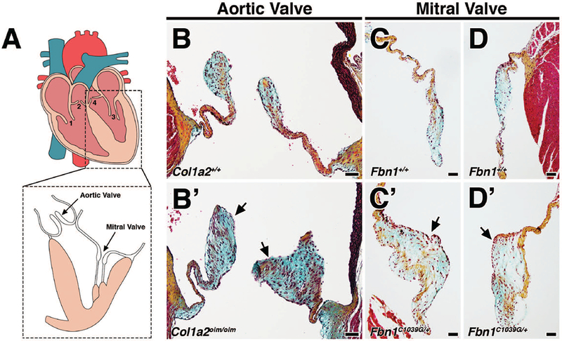 FIGURE 1: