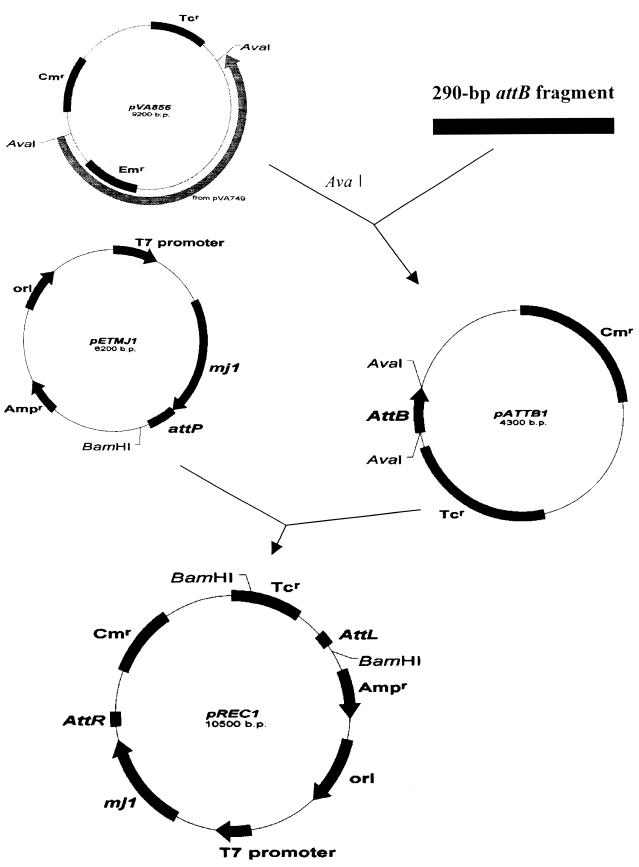 FIG. 4.