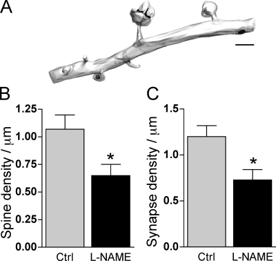 Figure 9.