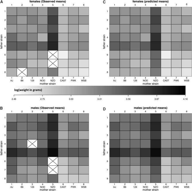 Figure 3 