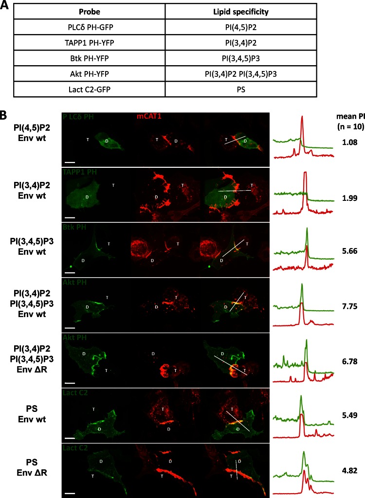 Fig 8