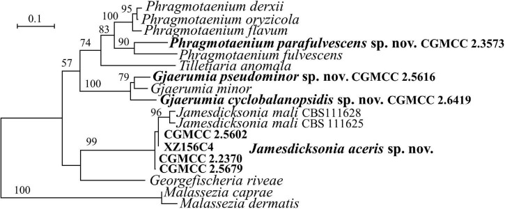 FIGURE 4