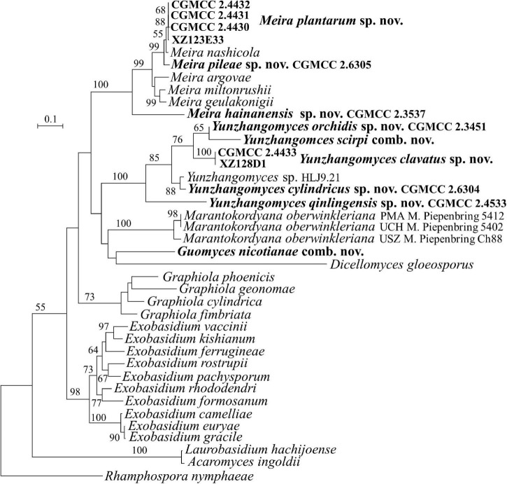 FIGURE 3