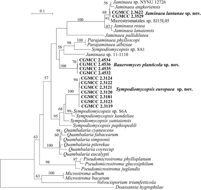 FIGURE 6