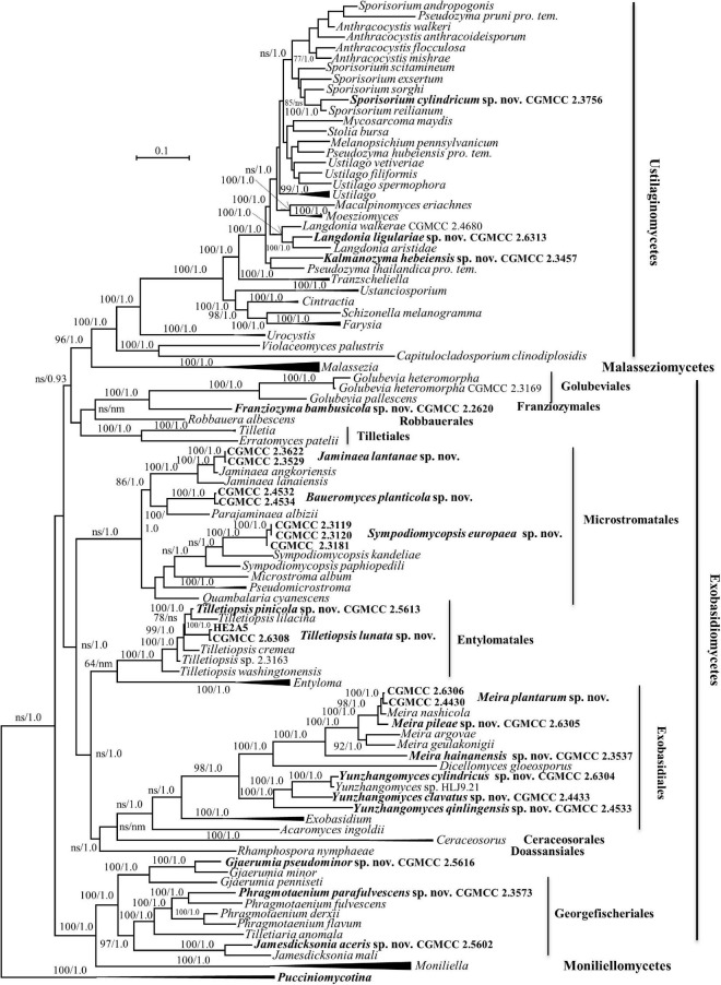 FIGURE 1