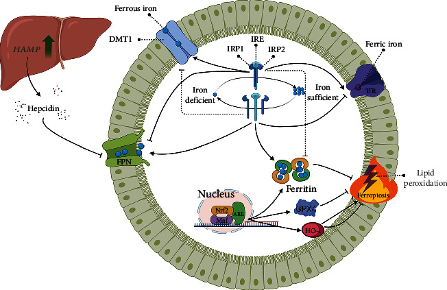 Figure 2