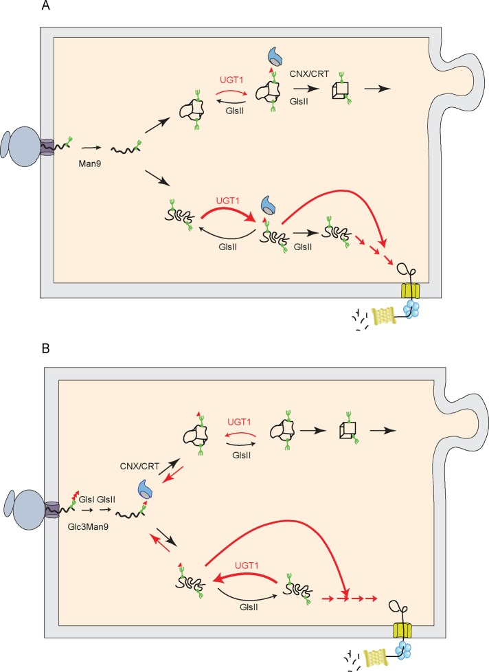 FIGURE 7: