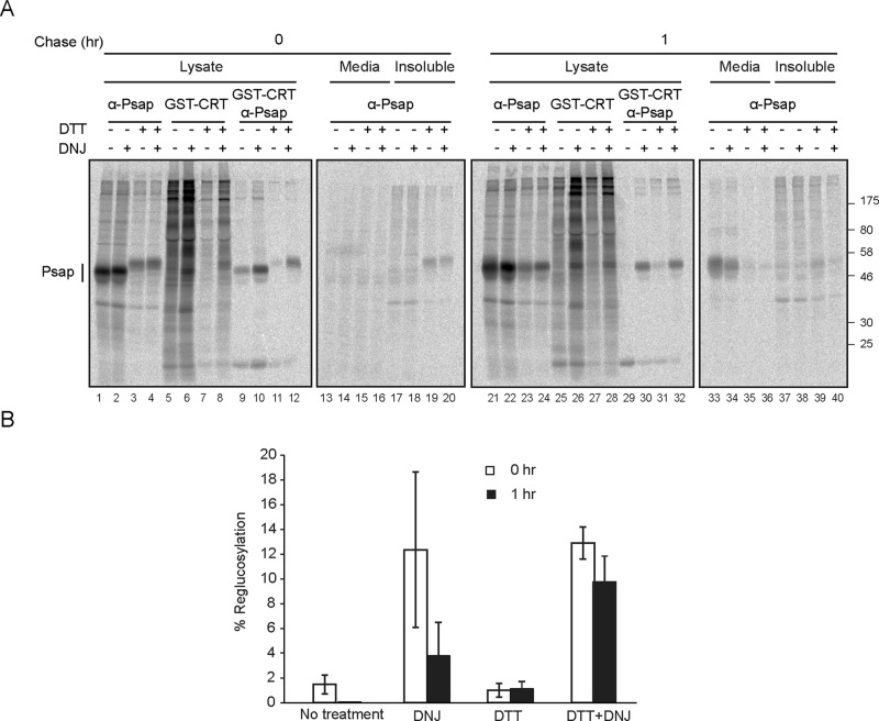 FIGURE 6: