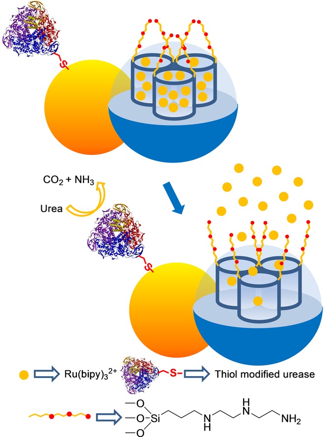 Figure 16