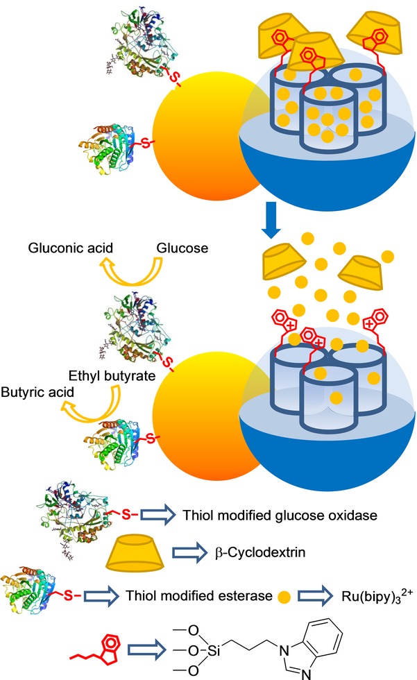 Figure 17