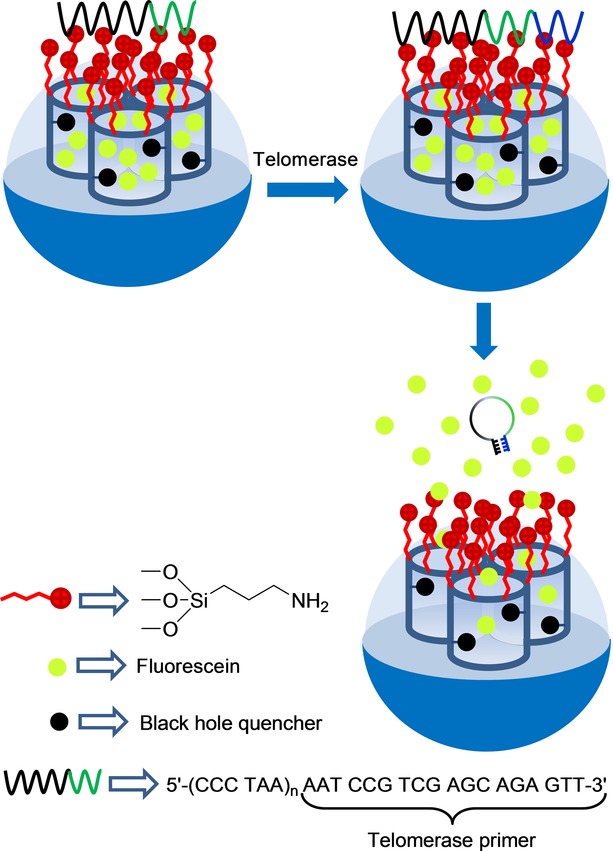 Figure 33