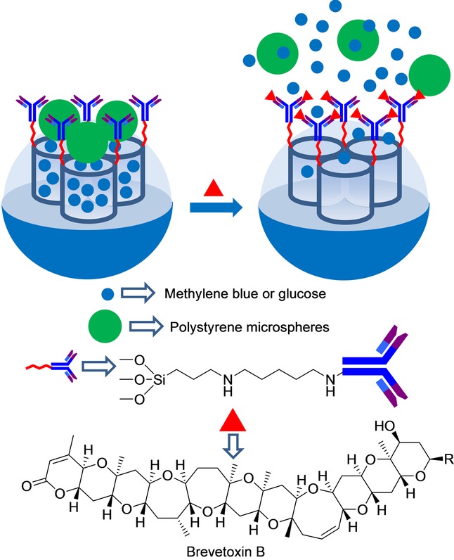 Figure 23