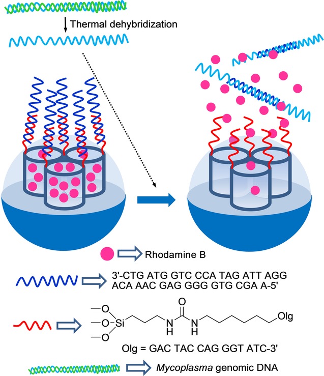 Figure 29