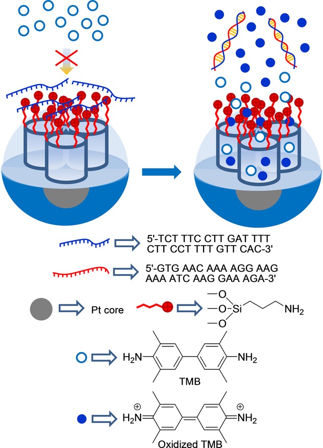 Figure 30