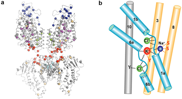 Figure 5 |