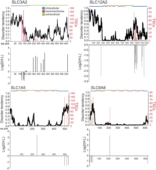 Fig. 3.