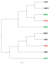 Figure 5