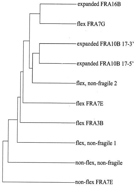 FIG. 4.