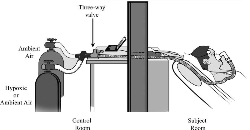 Fig. 1.