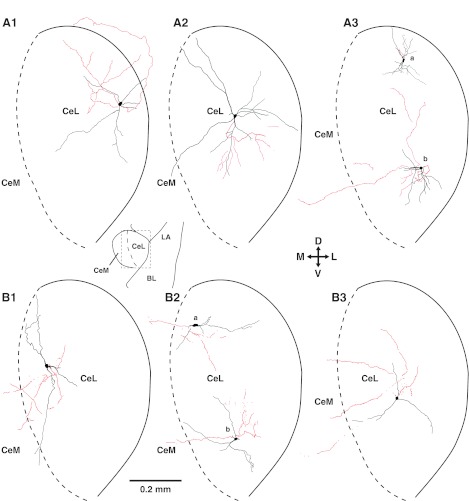 Fig. 3.