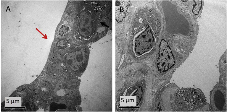 Fig. 9