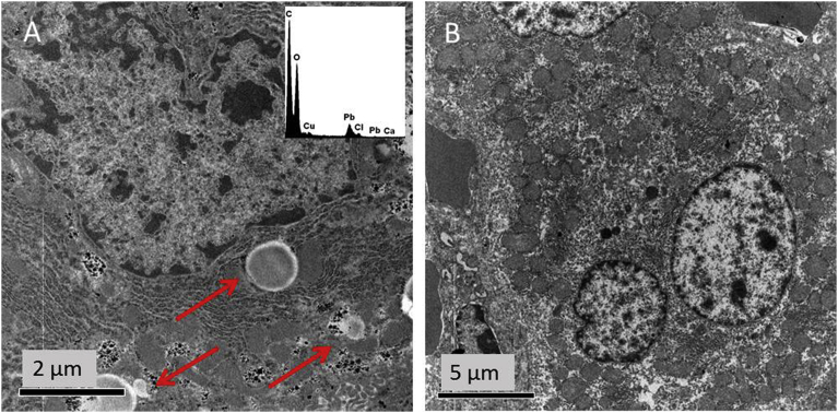 Fig. 10