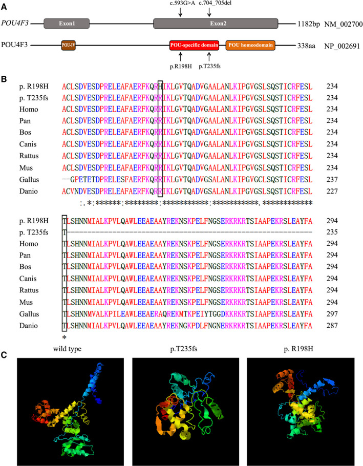 FIGURE 3