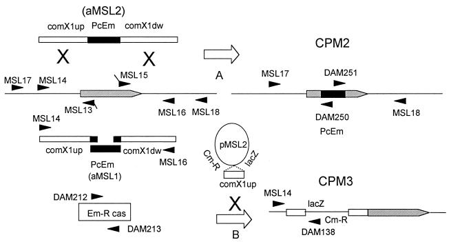 FIG. 3