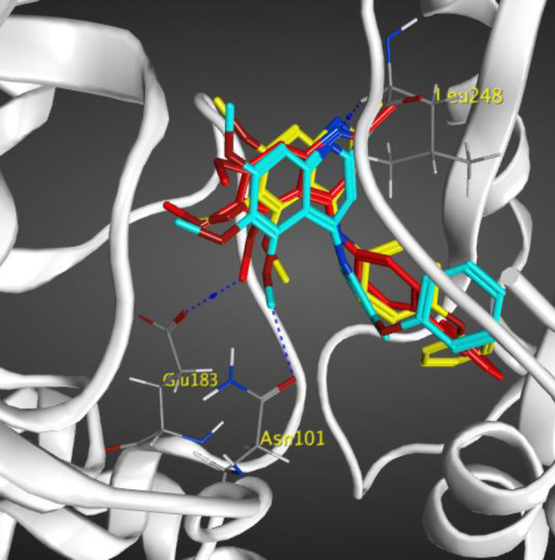 Figure 6